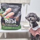 퍼피안 | 강아지 사료 추천 더 리얼 그레인프리 크런치 퍼피 반려견사료 2개월 급여 후기