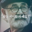 본향 이미지