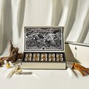 신세계건강원 이미지