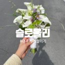 대구 동구 부케말리기 슬로울리 공방 부케기프트 맡긴 후기
