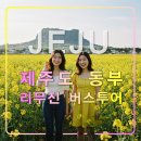 제주도 동부 프리미엄 리무진 버스여행,사려니숲,휴애리,성산일출봉,수국꽃