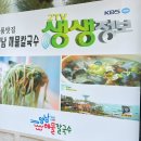 양남해물칼국수 황성점