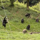 (2020.09.13. 日) +214 타마동물공원多摩動物公園_