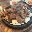 드림디포신탄진 | 데굴데굴 굴러간 일상들 ⁼³₌₃