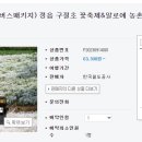 구절초 꽃축제 투어기차 이미지