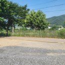 가평독채펜션힐링하우스 이미지