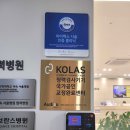 반석이비인후과의원 네이버블로그