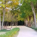 태화강 철새공원 이미지