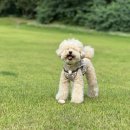 린넨 핸드메이드 의류 제작 이미지