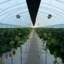 덕산리경로당 이미지