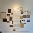 소마미술관 | 지나손 《Into Drawing 52: Displaced》 변위 - 소마미술관 전시 관람 후기