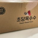 마시온다