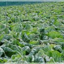 김용사 주차장 이미지