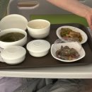 [24주차] 경부길이 짧아져 맥 수술한 후기