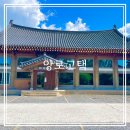 부산 강서구 카페 앙로고택 한옥카페 낙동강 포토존 홍등 내돈내산 후기