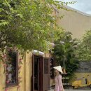 나이스카워시 | 다낭 호이안 여행 빈원더스 입장권 사파리 워터파크 준비물 가볼만한곳