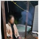 양양하조대마당넓은밤하늘별빛펜션 이미지