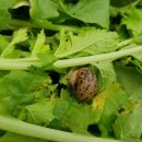 노다지농장 이미지