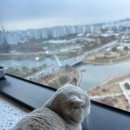 테이블에이 이미지