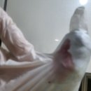 서초성모 | 다이소 야채다지기 손가락베임 봉합 성모병원 응급실에서 4바늘 꿰맨 후기