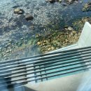 울산보호관찰소 화장실 | 울산 [기리기리풀빌라] 독특한 구조의 풀빌라 내돈내산 솔직후기