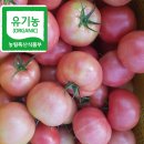 유기농토마토 1000원할인판매합니다 이미지