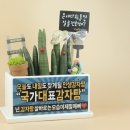 수영감자탕