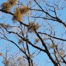 전산마을 이미지