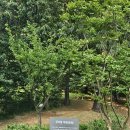 수서동 기와요지 이미지