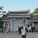 종로-종로-종로-종-254 | 청와대 전면 개방. 가볍게 읽어보고 가면 좋은 관람&amp;사진 스팟 정리
