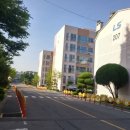 신온7길 네이버블로그