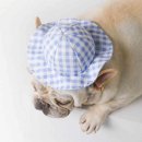 댕댕이모 이미지