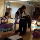 테라피 요가B 이미지