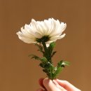 김*길 이미지