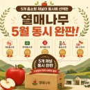 열매나무 5월 결산 — 이번 달 가장 많이 팔린 과일은?