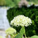 김삿갓면-28 이미지