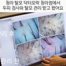 닥터모락 청라점