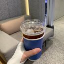 프라임 동물병원 앞 | 부산 울쎄라 프라임 300샷 리프팅 효과 통증 비교후기