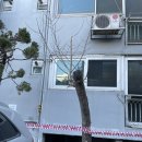 강촌닭멱살 앞 이미지