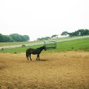 주박목장 이미지