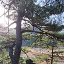 영주 무섬마을