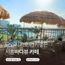 시흥 거북섬 블루웨이브커피 오션뷰 카페 웨이브파크 바로 앞 감성 대박