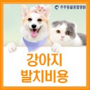 주주동물병원 이미지