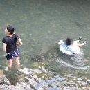 산호쉼터 이미지