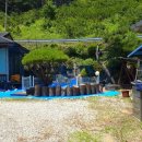 풀잎사랑 펜션 | 자연 속 계곡 물놀이와 지리산 등반 코스로 힐링할 수 있는 산청계곡펜션 &lt;지리산폭포펜션&gt;