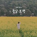 웅천읍 노천리534-1 | 충남 보령 유채꽃 &amp; 청보리밭 명소 웅천천 꽃단지