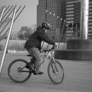 바니호프 이미지