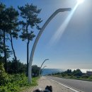 일광에너지발전소 이미지