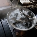 경기도 양평 캠핑장, 아람말 캠핑장 B3, B4 사이트 - 아람말 캠핑장 후기, 경기도 근처 캠핑장, 안양...