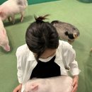 돼지카페